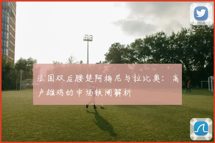 法国双后腰楚阿梅尼与拉比奥:高卢雄鸡的中场铁闸解析