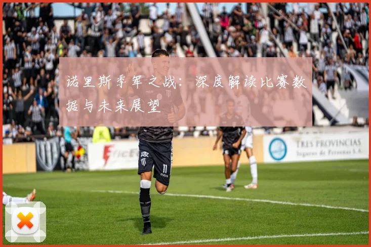 诺里斯季军之战:深度解读比赛数据与未来展望
