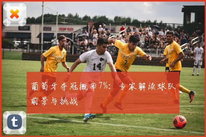 葡萄牙夺冠概率7%：专家解读球队前景与挑战