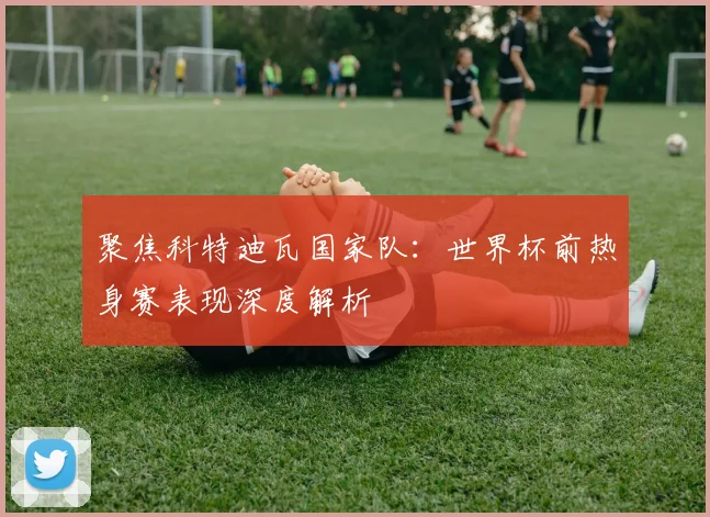 聚焦科特迪瓦国家队：世界杯前热身赛表现深度解析
